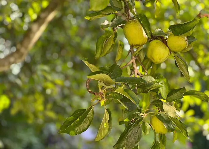 An Der Linde Borgwedel